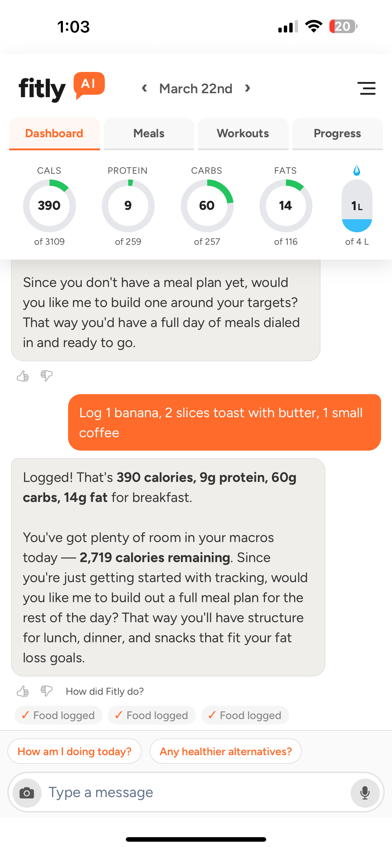 Screenshot: Chat conversation logging a meal