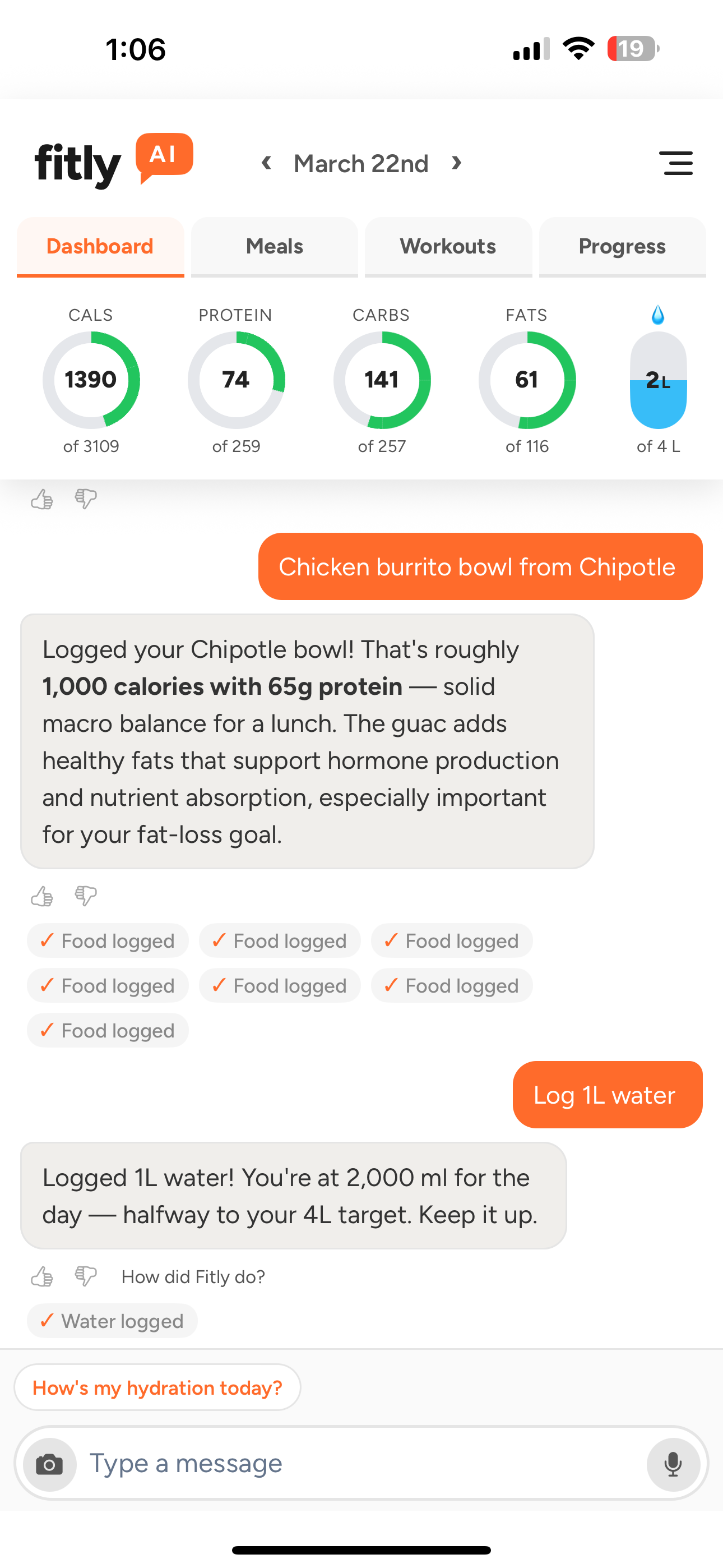 Screenshot: Chat meal logging